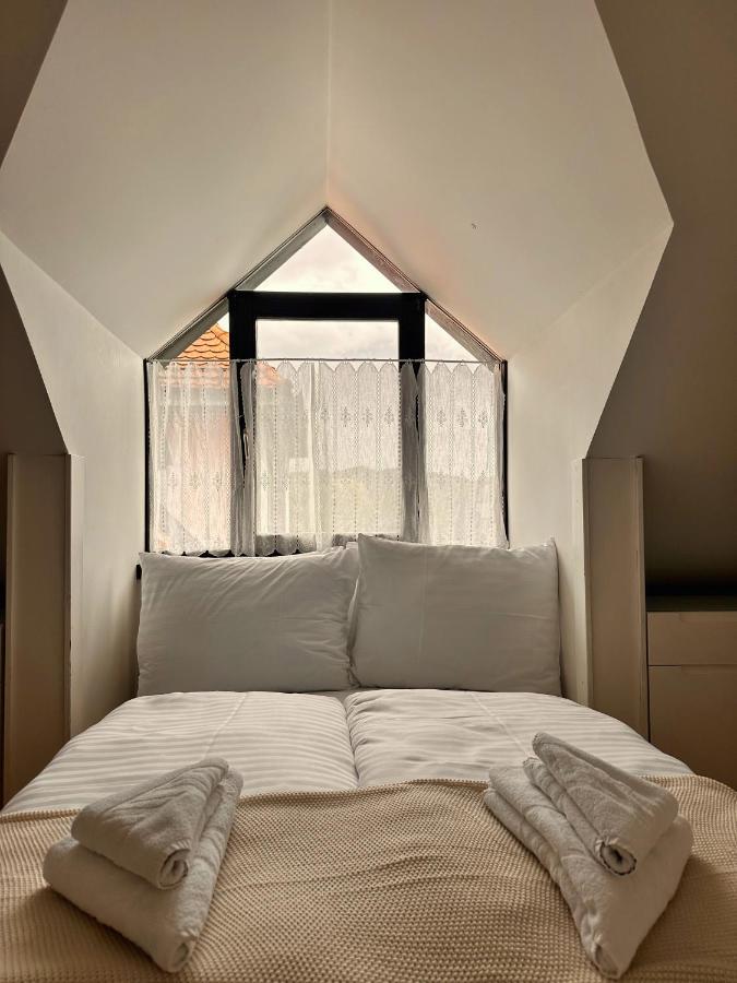 לובליאנה Charming City Loft Apartment מראה חיצוני תמונה
