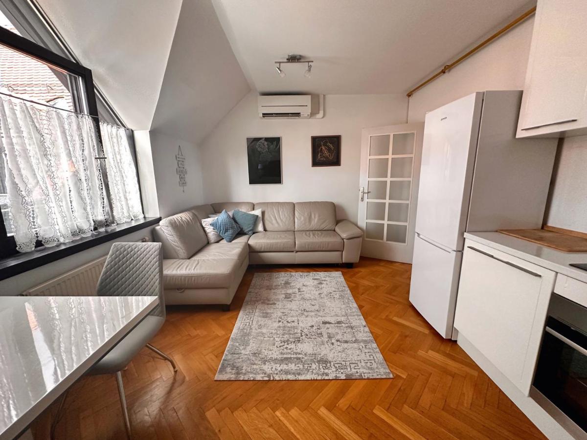לובליאנה Charming City Loft Apartment מראה חיצוני תמונה