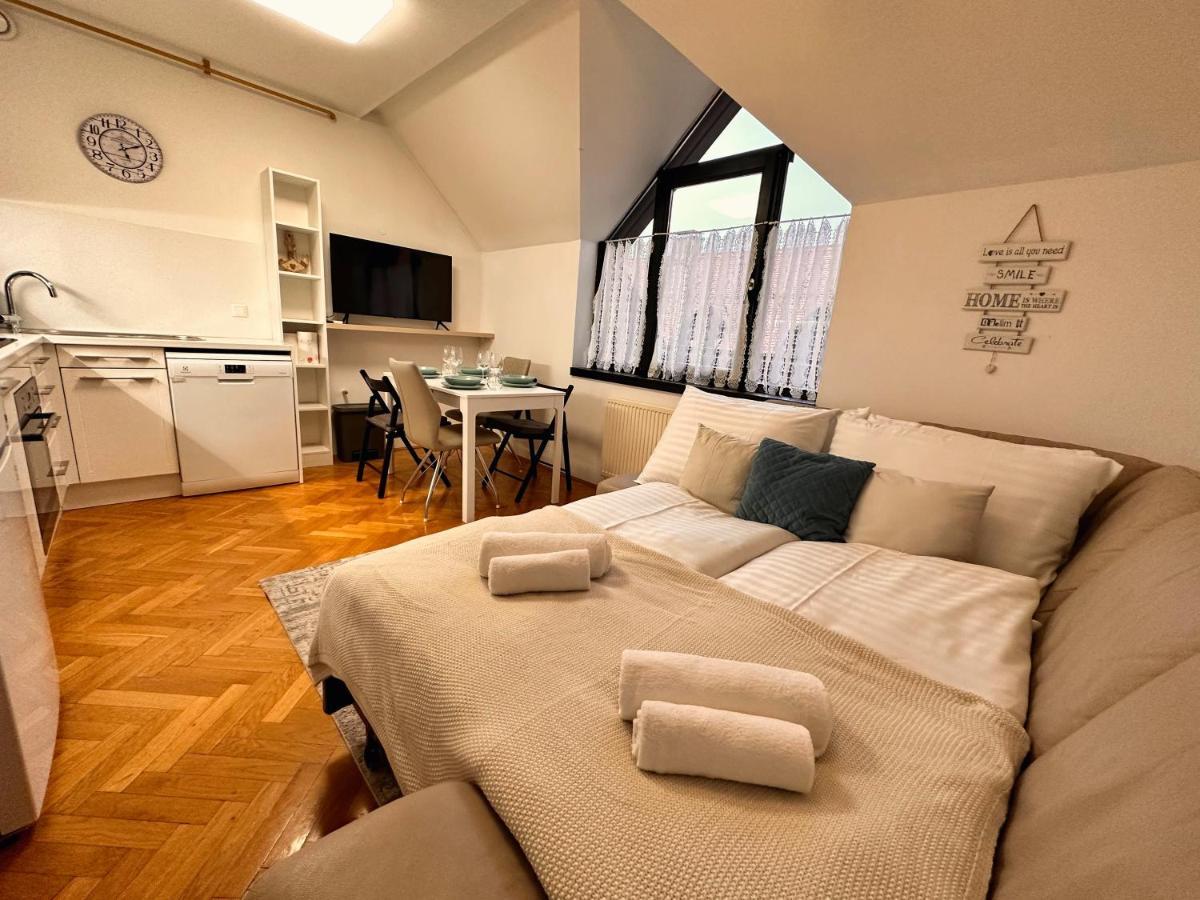 לובליאנה Charming City Loft Apartment מראה חיצוני תמונה